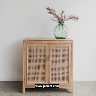 Abimanyu Rattan Cabinet